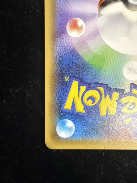 画像15: 〔状態B〕ポンチョを着たピカチュウ【P】{231/XY-P} (15)