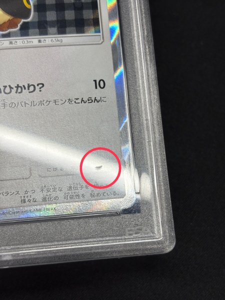 画像8: 〔※状態難/PSA10鑑定済〕ポンチョを着たイーブイ(BK)【P】{141/SM-P} (8)