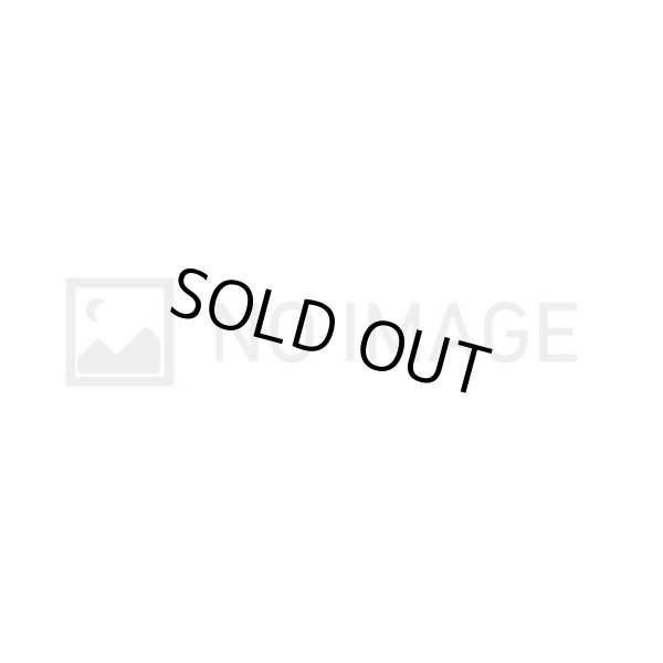 画像1: ポケギア3.0【P】{080/M-P} (1)