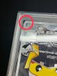 画像8: 〔※状態難/PSA10鑑定済〕スカル団ごっこピカチュウ【P】{013/SM-P} (8)