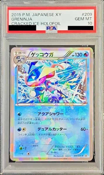 画像1: 〔※状態難/PSA10鑑定済〕ゲッコウガ【P】{209/XY-P} (1)