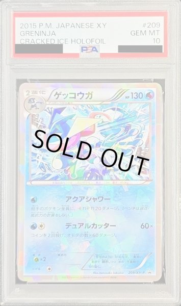 画像1: 〔※状態難/PSA10鑑定済〕ゲッコウガ【P】{209/XY-P} (1)
