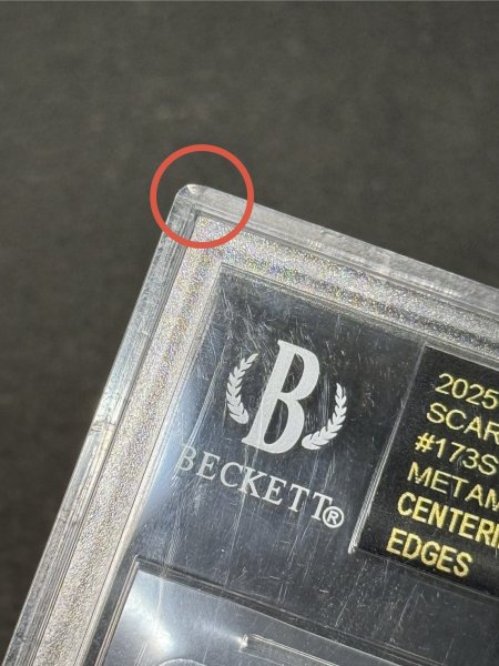 画像14: 〔※状態難/BGS10黒鑑定済〕メタモン(韓国語版)【P】{173/SV-P} (14)