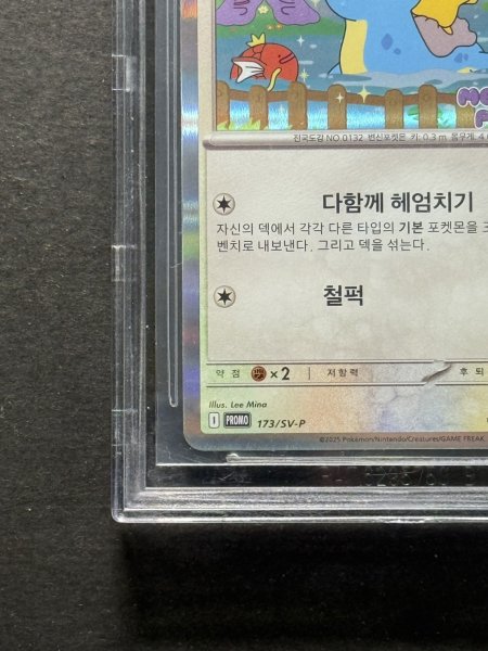 画像5: 〔※状態難/BGS10黒鑑定済〕メタモン(韓国語版)【P】{173/SV-P} (5)