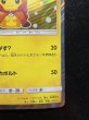画像6: 〔状態B〕ポンチョを着たピカチュウ【P】{038/SM-P} (6)