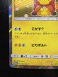 画像5: 〔状態B〕ポンチョを着たピカチュウ【P】{038/SM-P} (5)