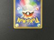 画像7: ポンチョを着たピカチュウ【P】{231/XY-P} (7)