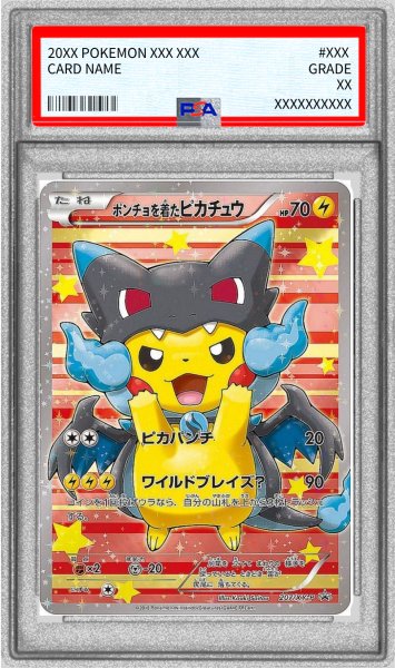 画像1: 〔※状態難/PSA10鑑定済〕ポンチョを着たピカチュウ【P】{207/XY-P} (1)
