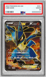 PSA10鑑定済〕ホエルオーEX【SR】{071/070}