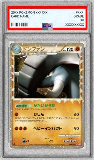 状態難/PSA10鑑定済〕ブラックキュレムEX【SR】{062/059}