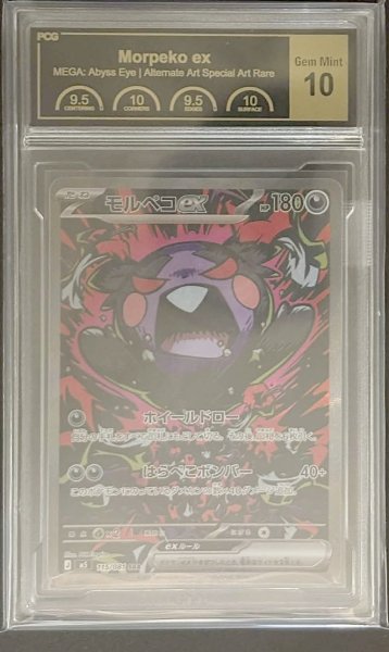 画像1: 〔PCG10鑑定済〕モルペコex【SAR】{115/081} (1)