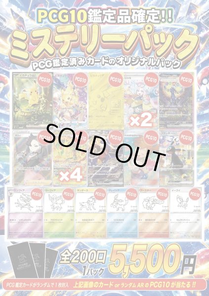 画像1: 《No.849》PCG10のみ！1口5500円ミステリーパック【No.849】{￥5500} (1)
