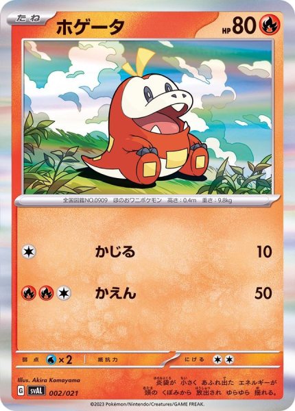 画像1: ホゲータ(R仕様)【-】{002/021} (1)