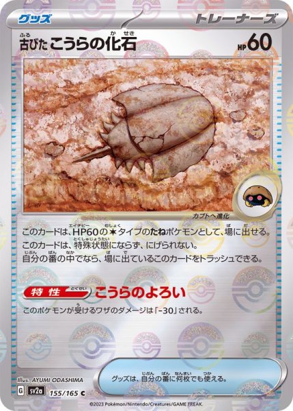 画像1: 古びたこうらの化石(ミラー)【C】{155/165} (1)