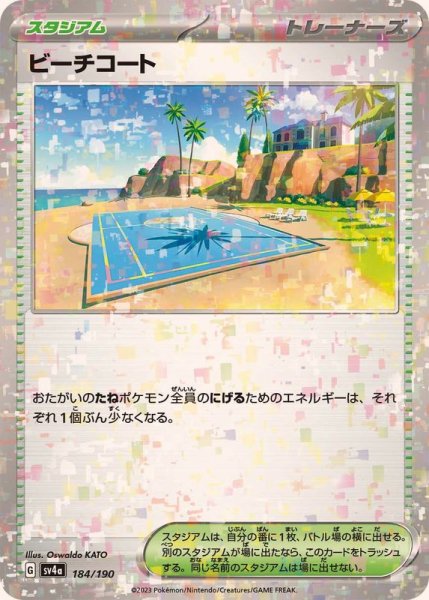 画像1: ビーチコート(ミラー/ハイクラスパック仕様)【-】{184/190} (1)