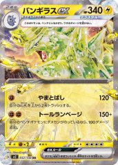 ポケモンカード　PSA10 バンギラスex RR　コライドンex RR コライドンex【RR】{114/190}