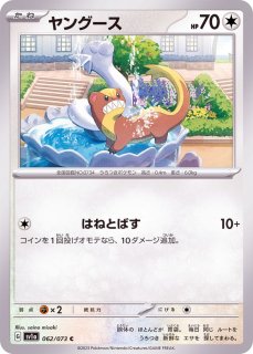 ポケモンカードゲーム　トレーナーカードコレクション　ホップの日課