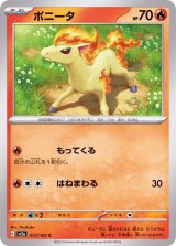 ポニータ 034/DPt-P プロモ ポケモンチャレンジひろば 9682 ポニータ 034/DPt-P プロモ ポケモンチャレンジひろば 9682