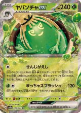 148枚　超貴重　ポケモンカード　草タイプ 148枚 超貴重 ポケモンカード 草タイプ