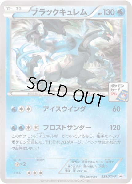 画像1: 〔状態B〕ブラックキュレム【P】{239/XY-P} (1)