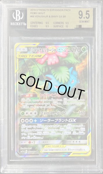 画像1: 〔BGS9.5鑑定済〕フシギバナ＆ツタージャGX(SA)【SR】{066/064} (1)