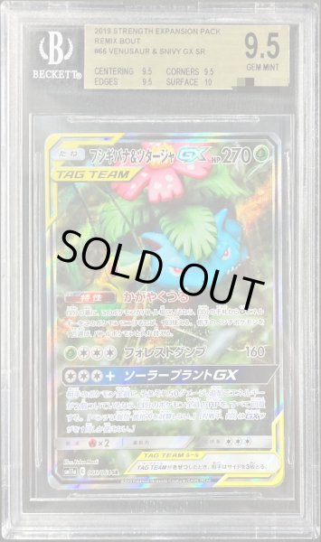 画像1: 〔BGS9.5鑑定済〕フシギバナ＆ツタージャGX(SA)【SR】{066/064} (1)