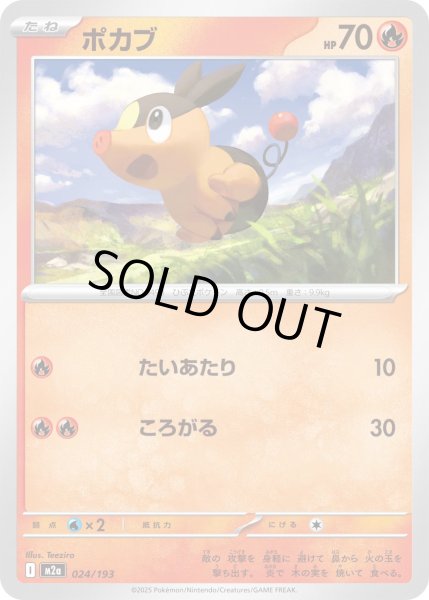 画像1: ポカブ【-】{024/193} (1)