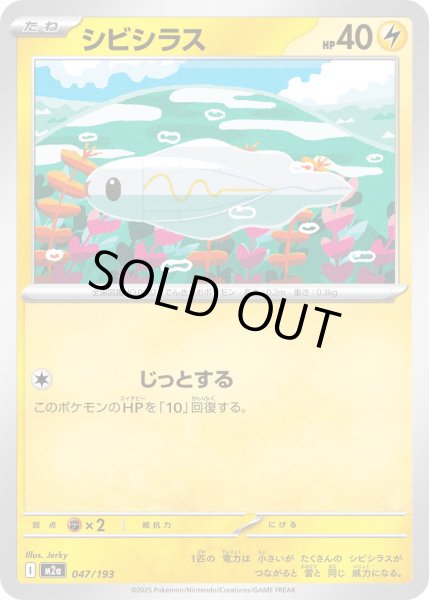 画像1: シビシラス【-】{047/193} (1)