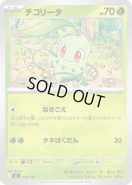 画像1: 〔状態A-〕チコリータ【-】{016/742} (1)