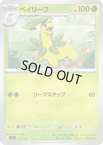 画像1: ベイリーフ【-】{017/742} (1)