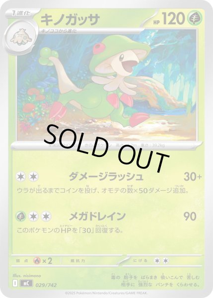 画像1: キノガッサ【-】{029/742} (1)