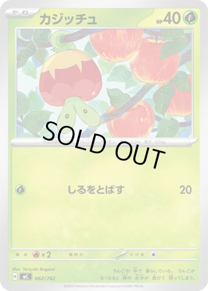 画像1: カジッチュ【-】{062/742} (1)