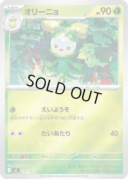 画像1: オリーニョ(ミラー)【-】{070/742} (1)