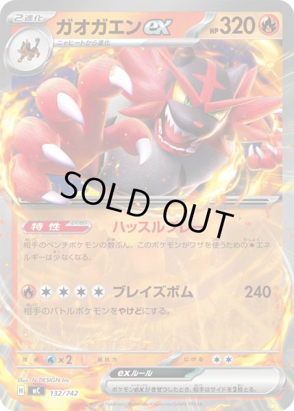 画像1: ガオガエンex(ノーマル仕様)【-】{132/742} (1)