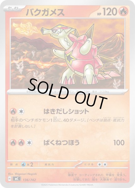 画像1: バクガメス【-】{136/742} (1)