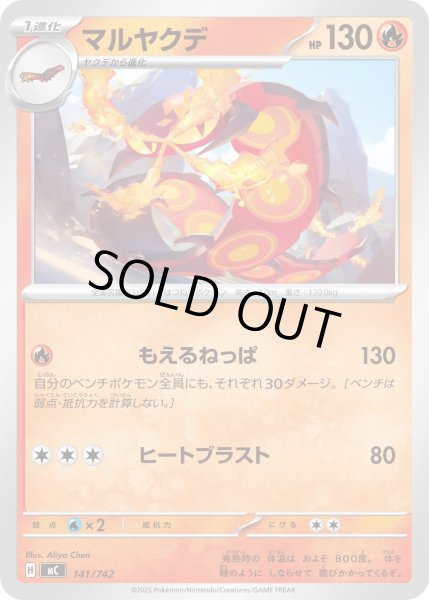 画像1: マルヤクデ【-】{141/742} (1)