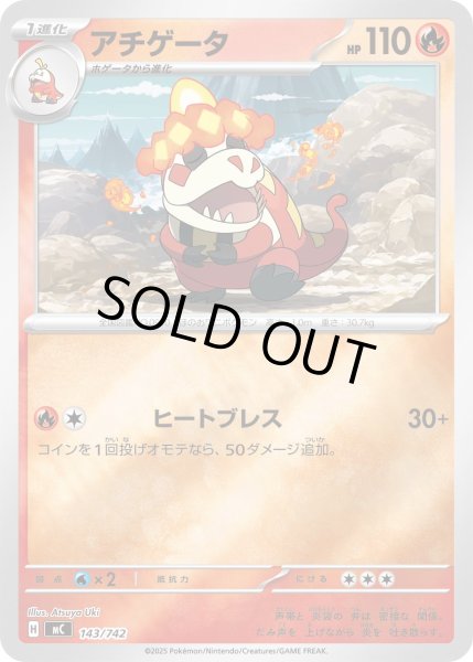 画像1: アチゲータ(ミラー)【-】{143/742} (1)