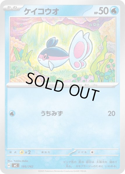 画像1: ケイコウオ【-】{195/742} (1)