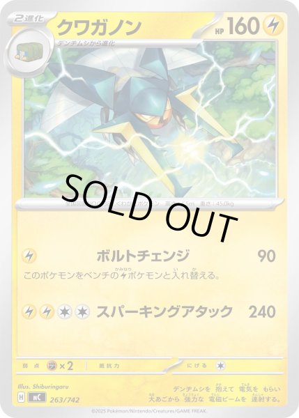 画像1: クワガノン【-】{263/742} (1)