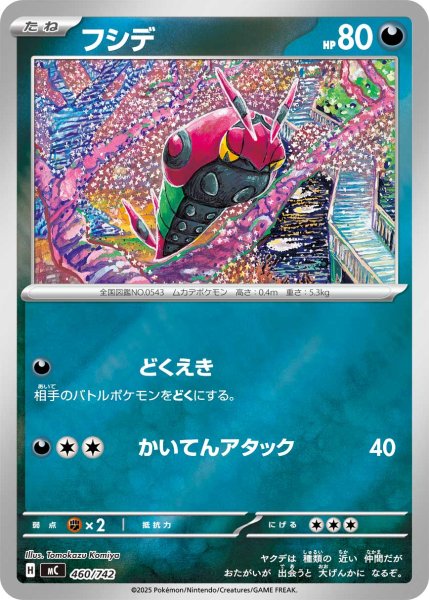 画像1: 〔状態A-〕フシデ(ミラー)【-】{460/742} (1)