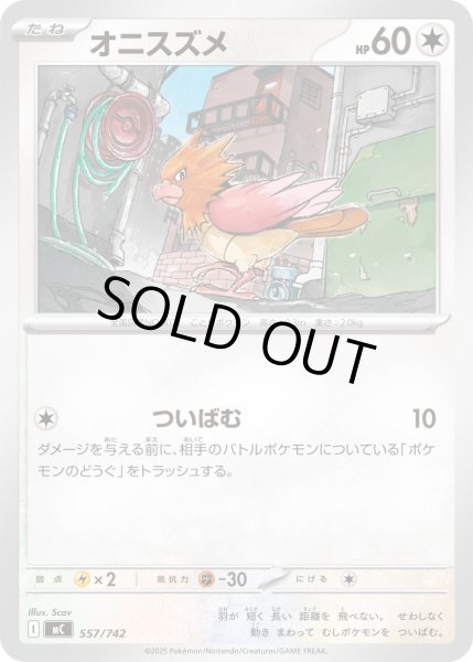 画像1: オニスズメ【-】{557/742} (1)