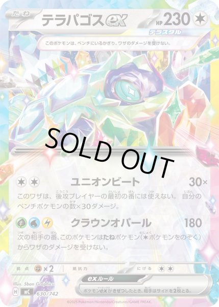 画像1: テラパゴスex(ノーマル仕様)【-】{630/742} (1)