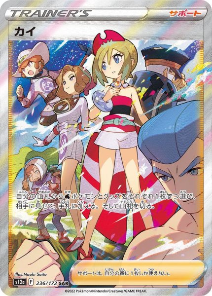 画像1: 〔状態A-〕カイ【SAR】{236/172} (1)