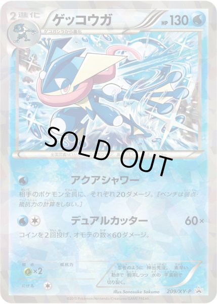 画像1: ゲッコウガ【P】{209/XY-P} (1)