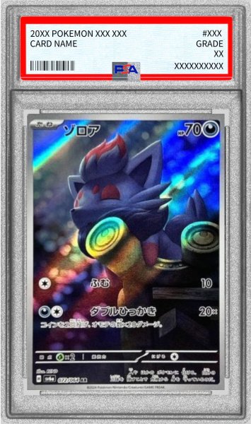 画像1: 〔PSA10鑑定済〕ゾロア【AR】{072/064} (1)