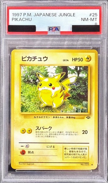画像1: 〔PSA8鑑定済〕ピカチュウ LV.14(マークあり)【●】{旧裏} (1)