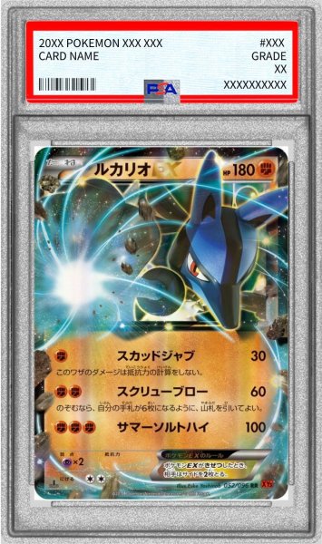 画像1: 〔PSA10鑑定済〕ルカリオEX【RR】{052/096} (1)