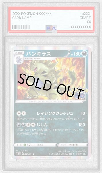 画像1: 〔PSA10鑑定済〕バンギラス【R】{043/071} (1)