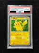 画像2: 〔※状態難/PSA10鑑定済〕ピカチュウ(日本語/緑背景)【-】{PW} (2)