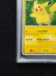 画像5: 〔※状態難/PSA10鑑定済〕ピカチュウ(日本語/緑背景)【-】{PW} (5)